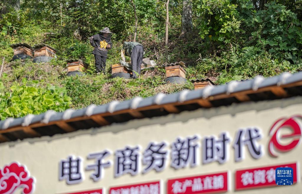 手机赌场游戏下载